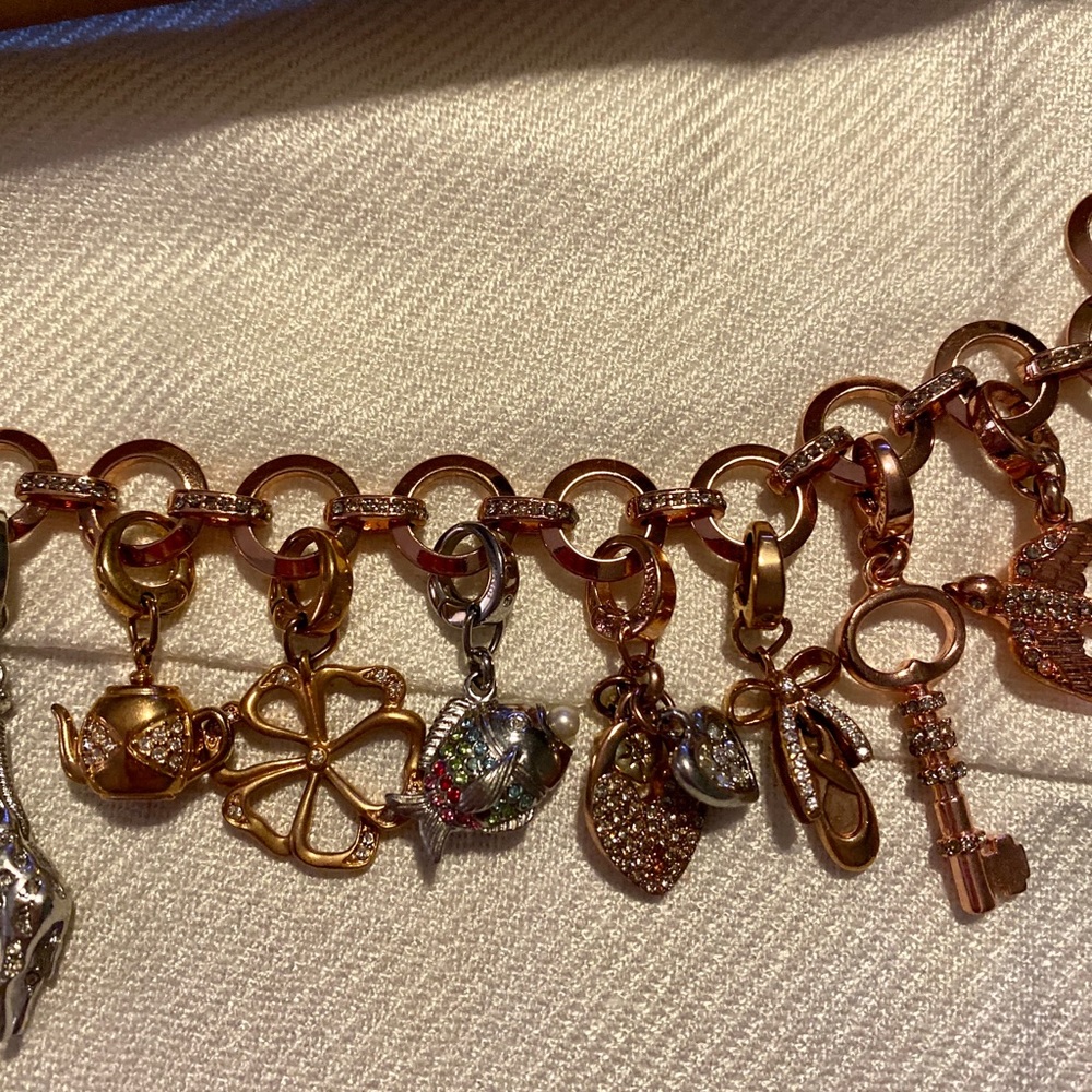 Fossil Sparrow and Teapot Charms